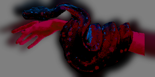 Cover image for Evidence
