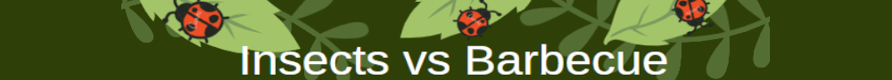 Insects vs Barbecue  (gameJam #24 GameCodeur)