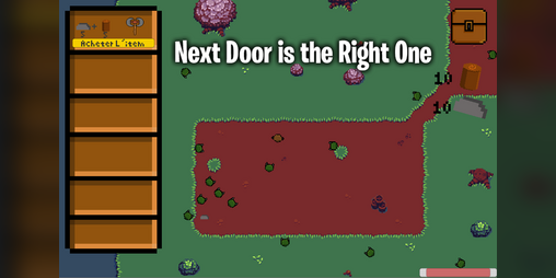 Cover image for Next Door is the Right One