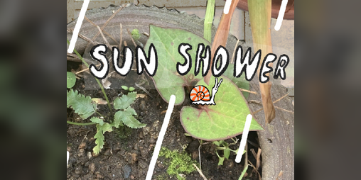 Cover image for SUN SHOWER