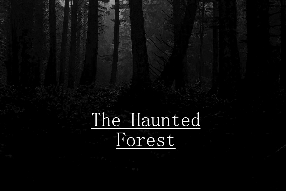 The Haunted Forest by JaredPoulsen