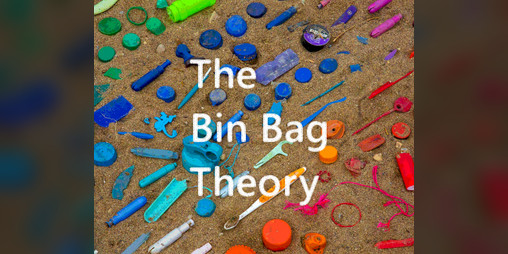 Cover image for The Bin Bag Theory