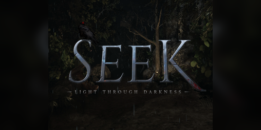 Cover image for Seek: Light Through Darkness