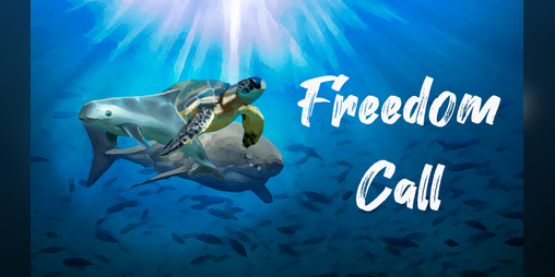 Cover image for Fredoom Call