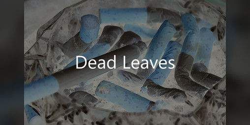Cover image for Dead leaves