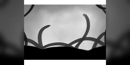 Cover image for The Creeping Briar