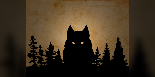 Cover image for Wolf