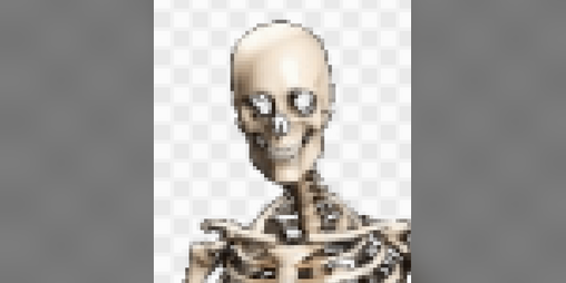 Cover image for skeleton game