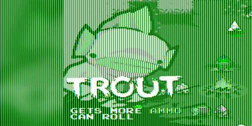 Cover image for Trout skin for Fish