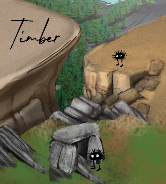 Cover image for Timber