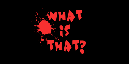 Cover image for What is that?