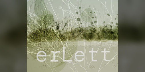 Cover image for erLett