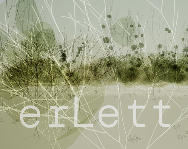 Cover image for erLett