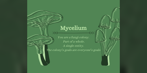 Cover image for Mycelium