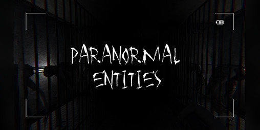 Cover image for Paranormal Entities