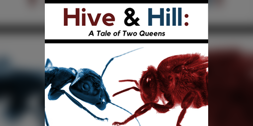 Cover image for Hive and Hill: A Tale of Two Queens