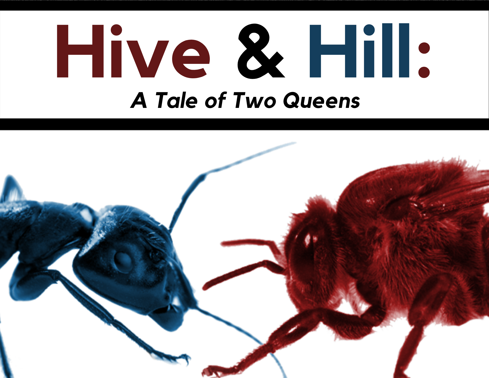 Hive and Hill: A Tale of Two Queens
