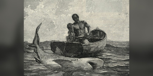 Cover image for Blood in the Water