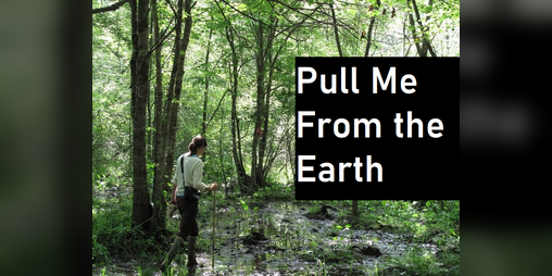 Cover image for Pull Me From the Earth