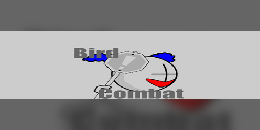 Cover image for Bird Combat
