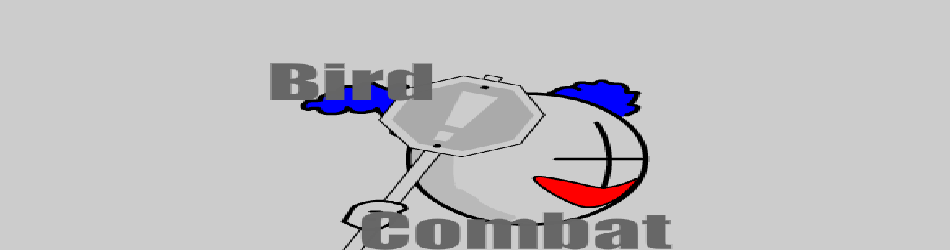 Bird Combat