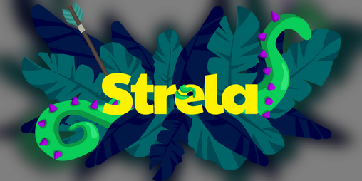 Cover image for Strela