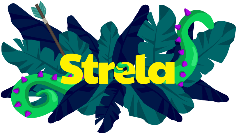 Cover image for Strela