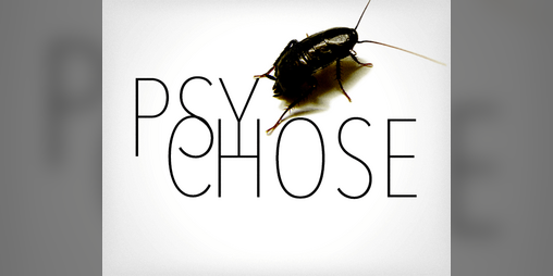 Cover image for PSY/CHOSE [FR]