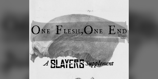 Cover image for One Flesh, One End