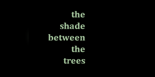 Cover image for the shade between the trees