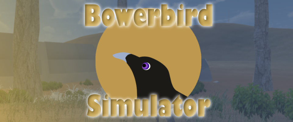 BowerBirdSimulator