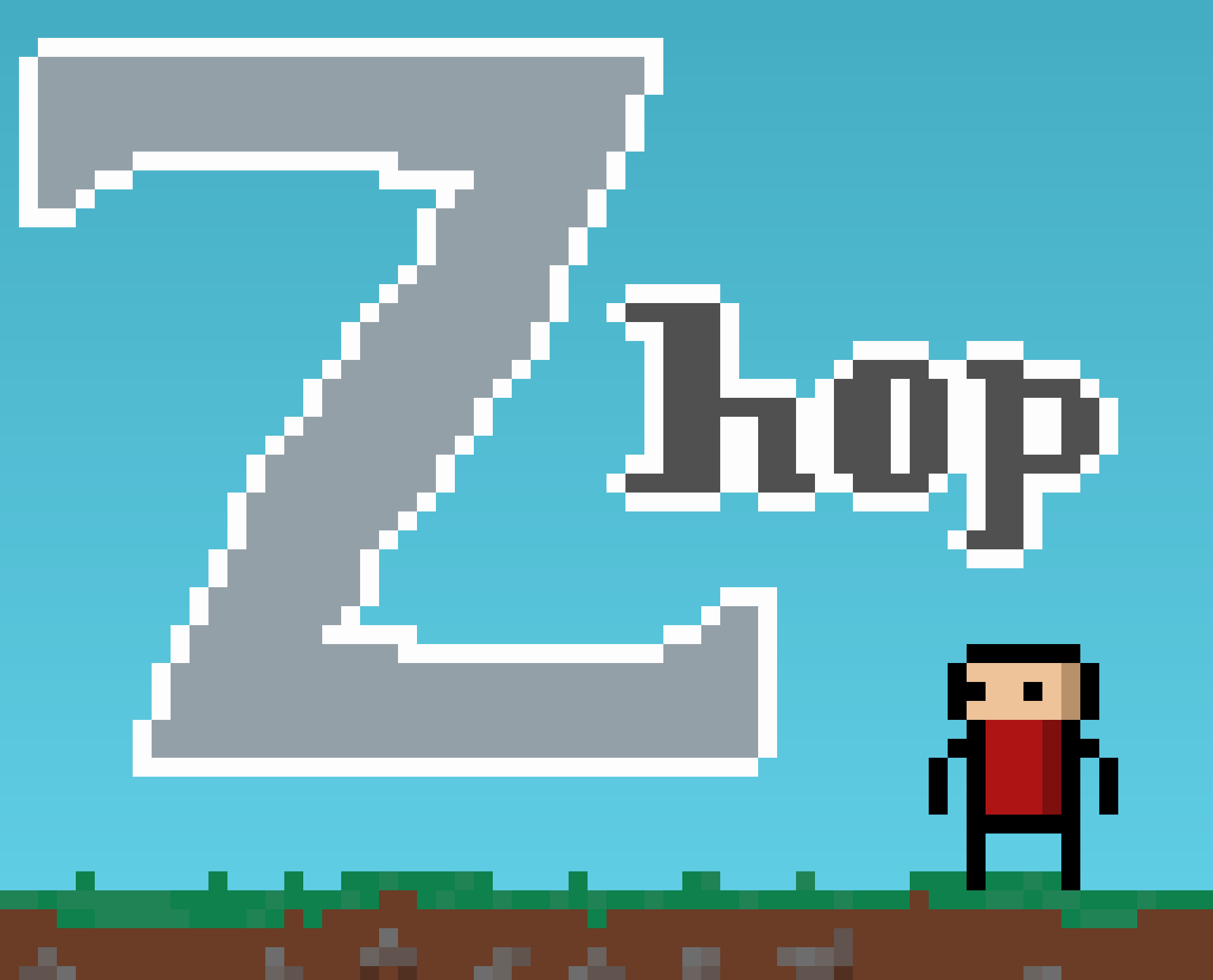 Cover image for Zhop
