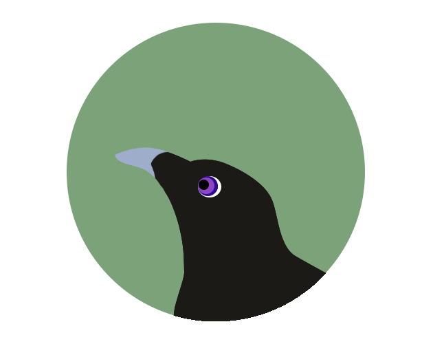 BowerBirdSimulator