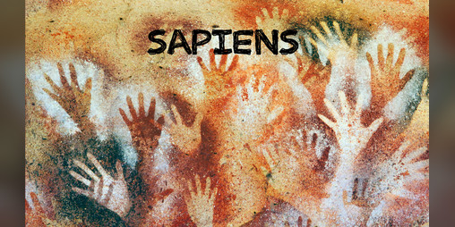 Cover image for Sapiens Demo