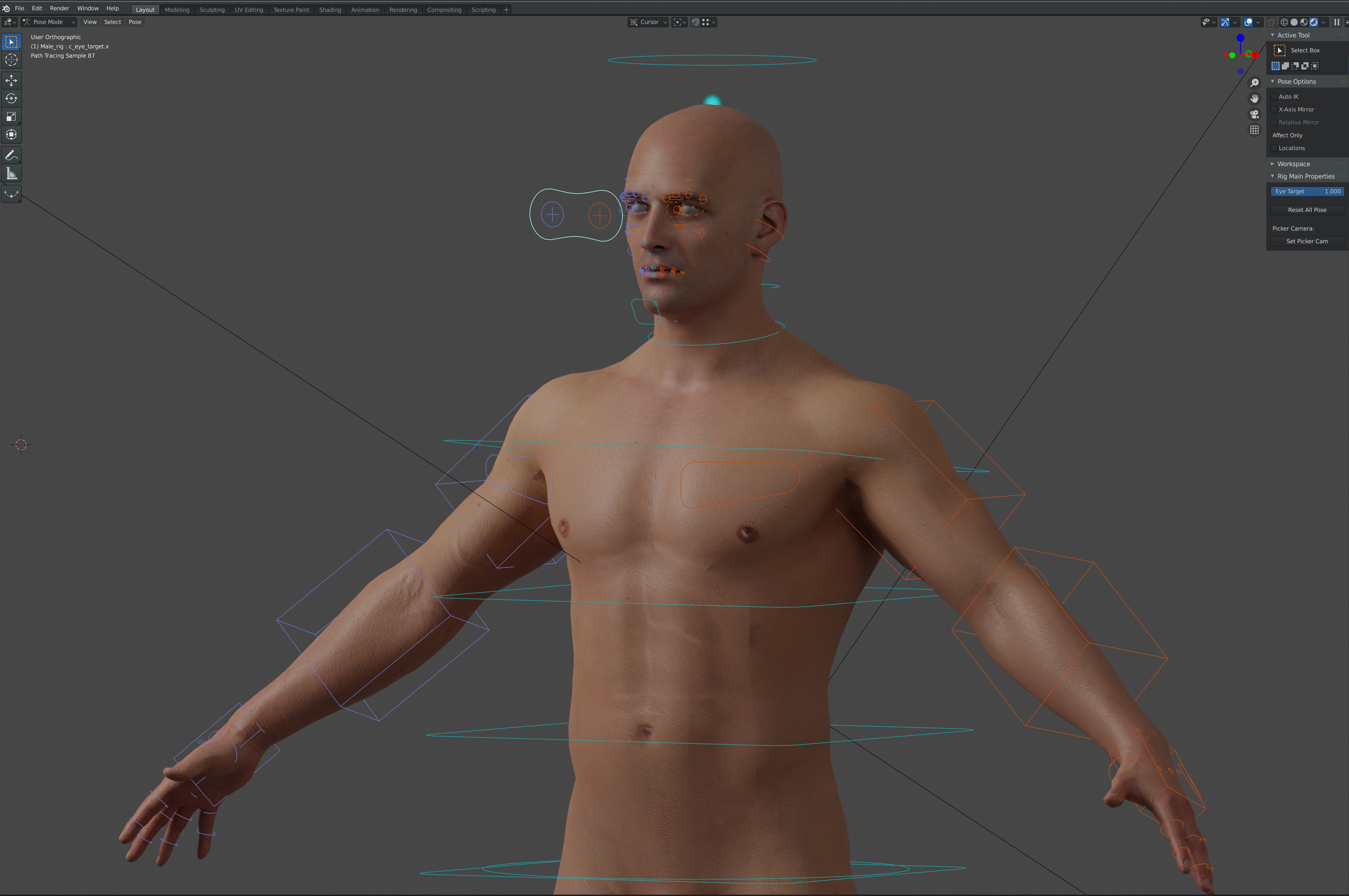 Screenshot of a male character model being rigged in Blender.