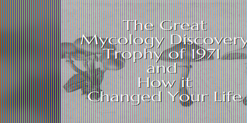 Cover image for The Great Mycology Discovery Trophy of 1971 and How it Changed Your Life