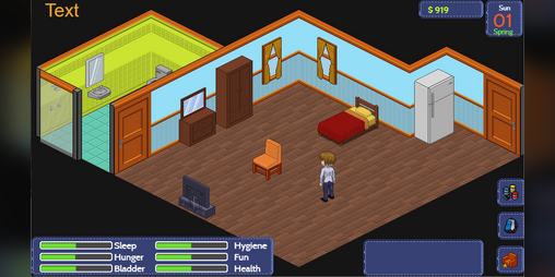Cover image for SimsLife