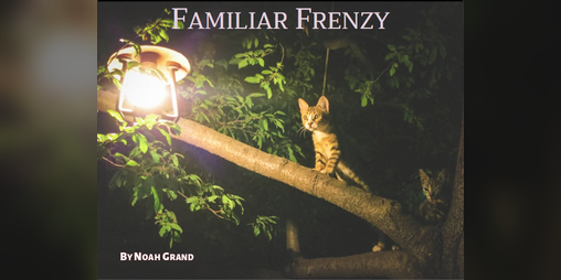 Cover image for Familiar Frenzy