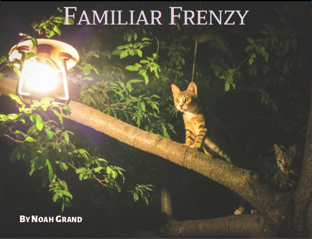 Cover image for Familiar Frenzy