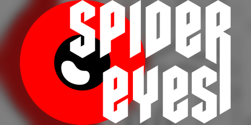 Cover image for Spider Eyes