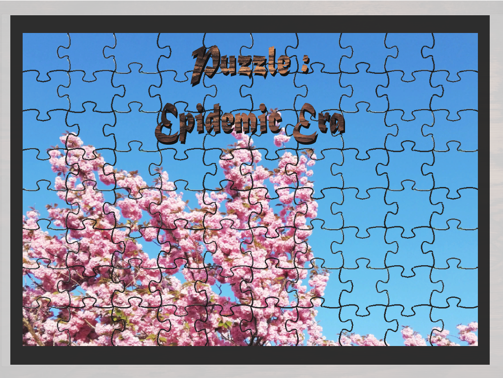 Cover image for Jigsaw Puzzle - Epidemic Era