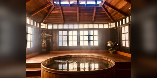 Cover image for The Bathhouse