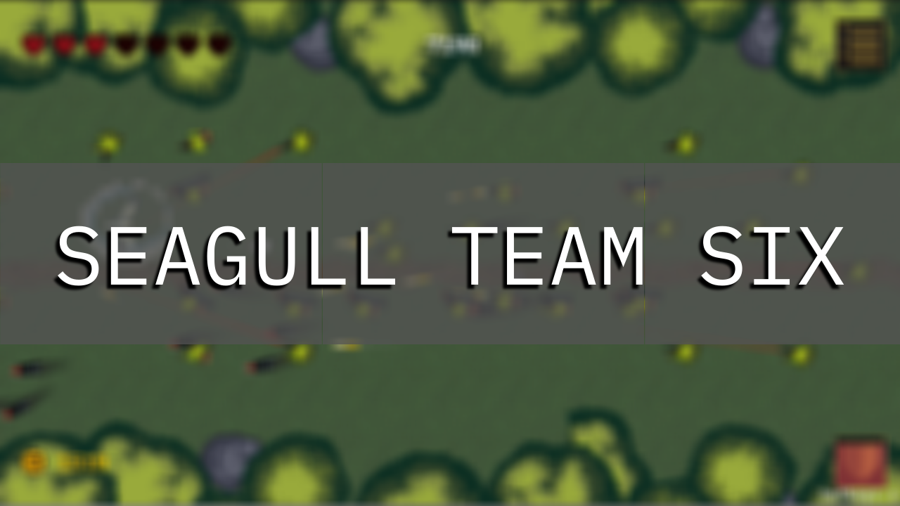 Seagull Team Six