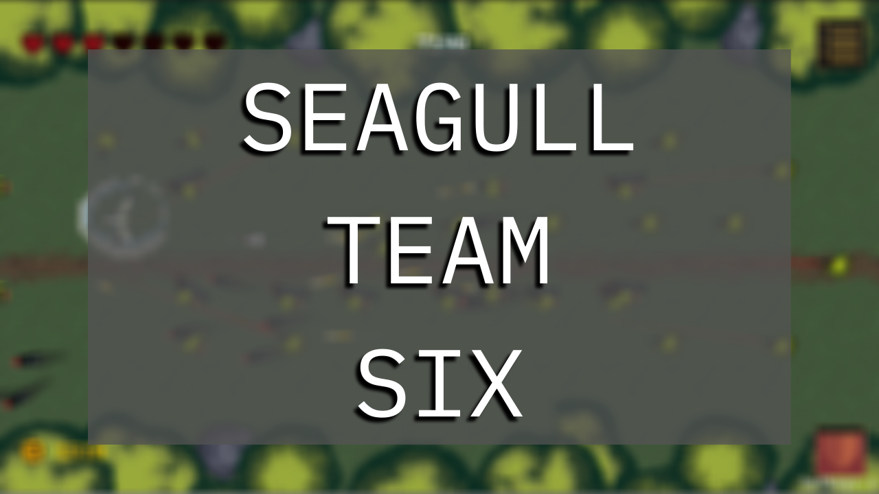 Seagull Team Six