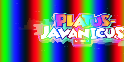 Cover image for Platus Javanicus