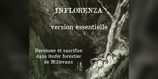 Cover image for Inflorenza, à l'essentiel