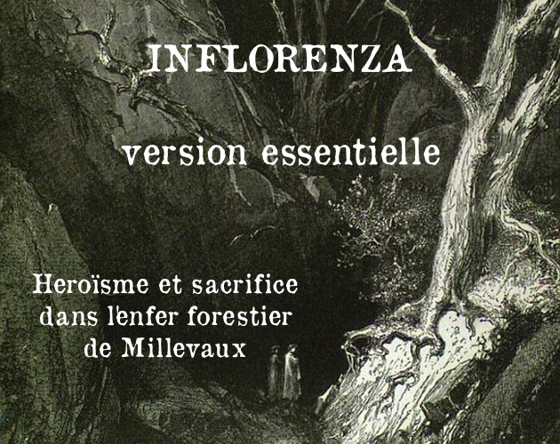 Cover image for Inflorenza, à l'essentiel