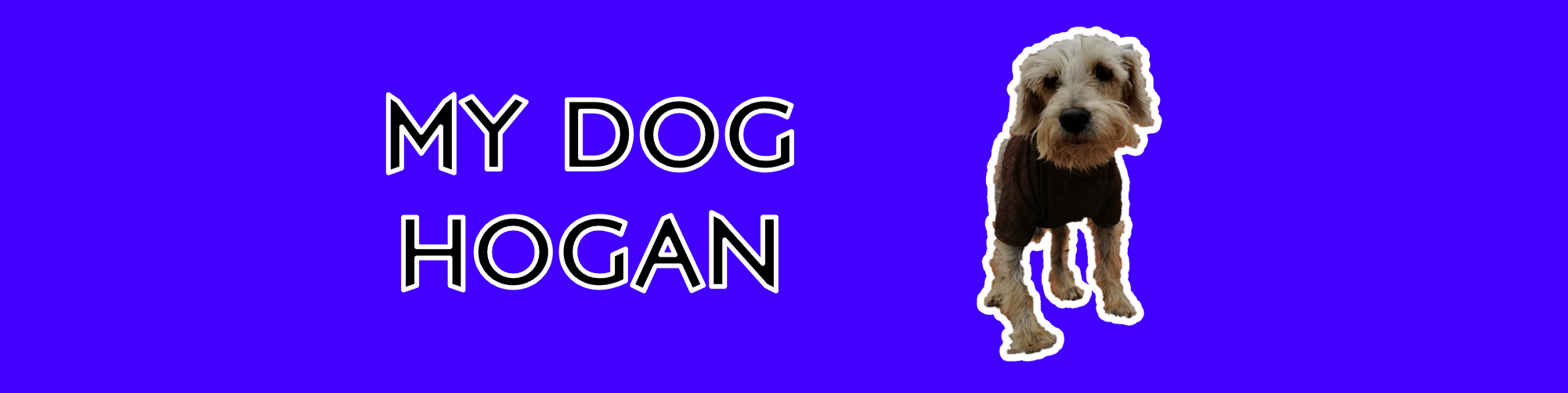 My Dog Hogan