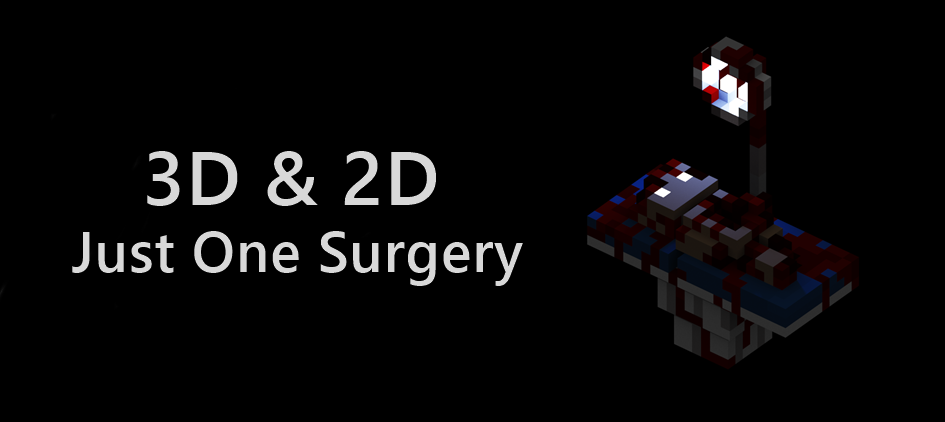 Just One Surgery | 3D Voxel & 2D Sprites