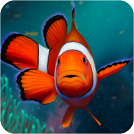 Fishkeeper - an aquarium tamagotchi! - Release Announcements 